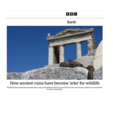 BBC Article on BIAS: International Recognition for the Innovative Project on Biodiversity Mapping in Archaeological Sites Led by the National and Kapodistrian University of Athens